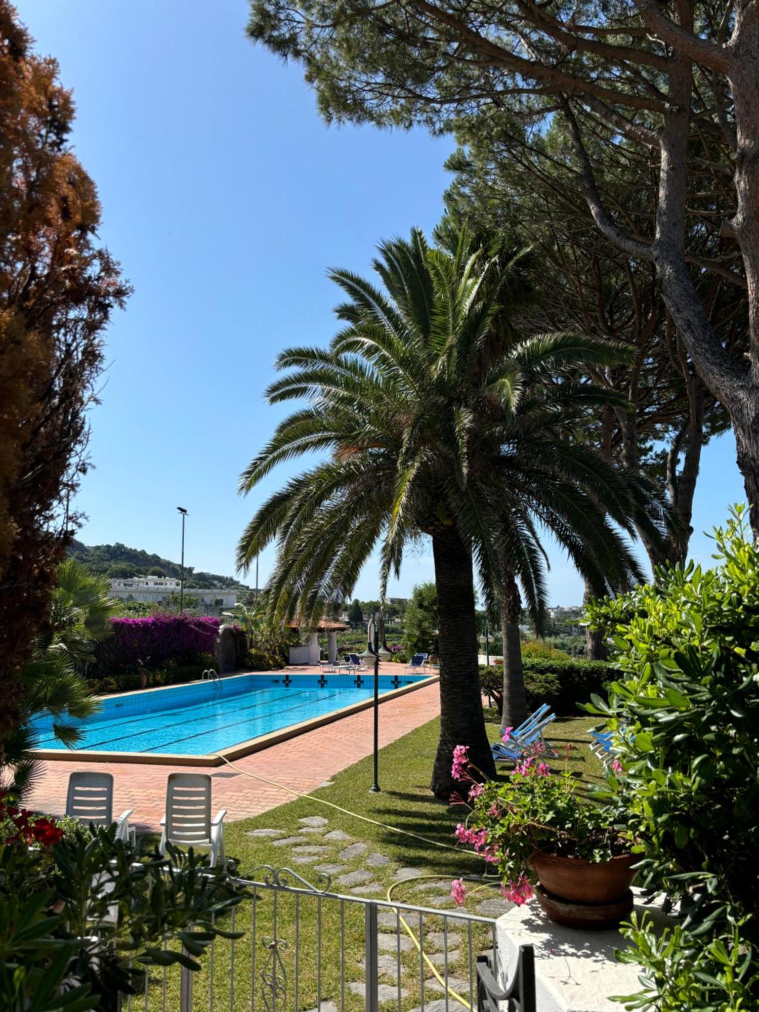 Villa Moma Giardino, Tennis E Piscina Panoramica Ísquia Exterior foto