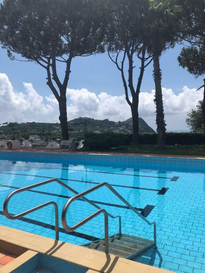 Villa Moma Giardino, Tennis E Piscina Panoramica Ísquia Exterior foto